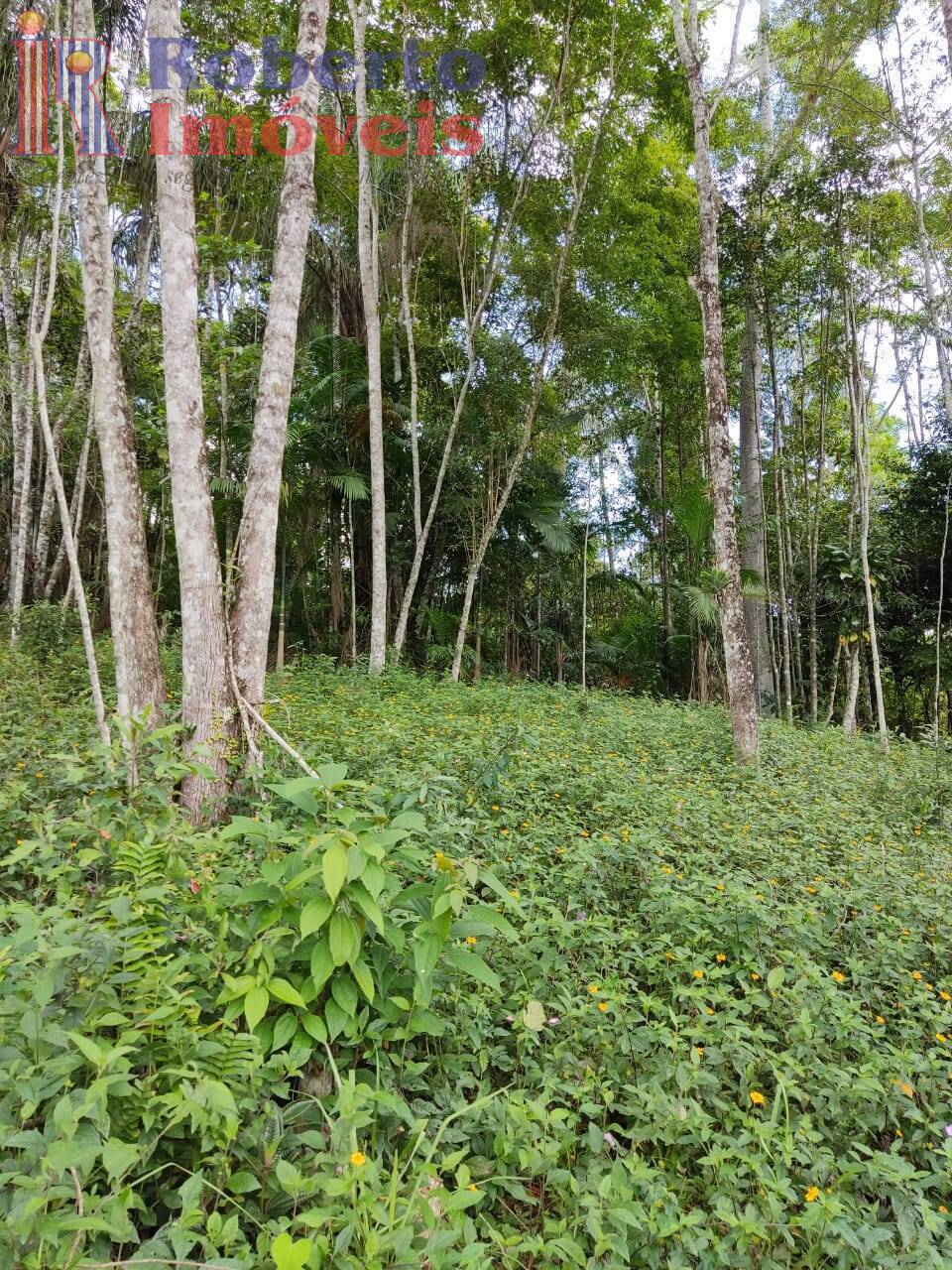 Fazenda à venda com 4 quartos, 1000m² - Foto 8