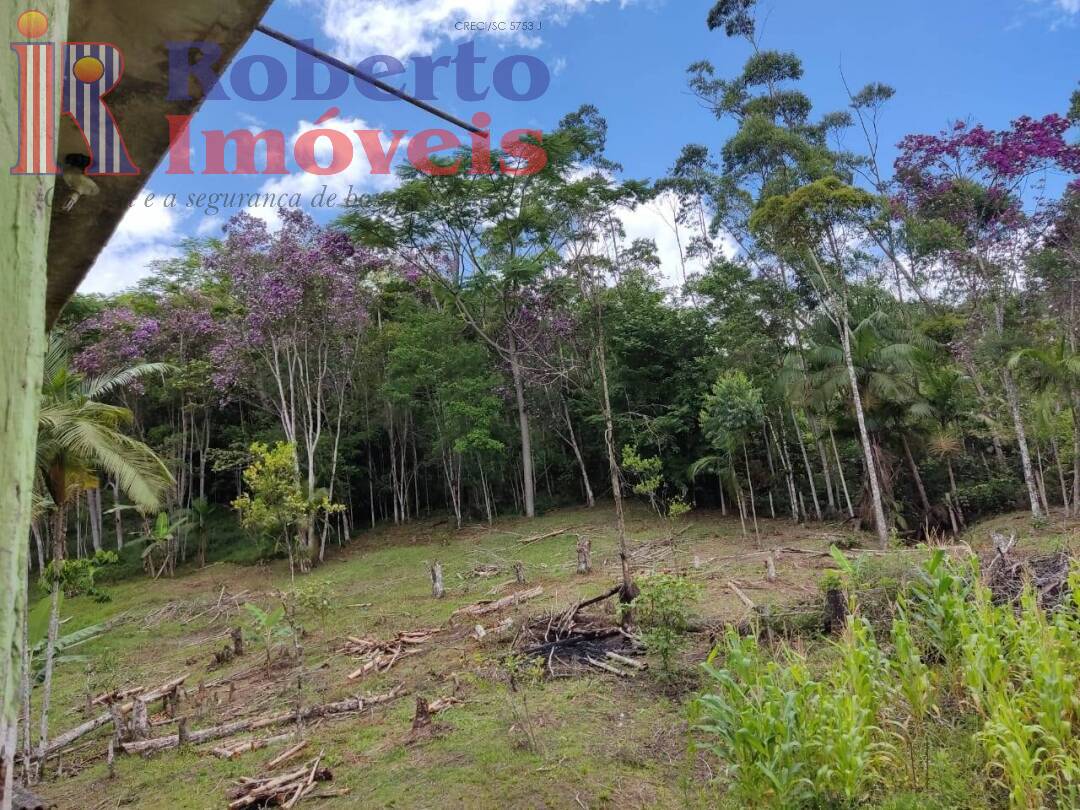 Fazenda à venda com 4 quartos, 1000m² - Foto 3