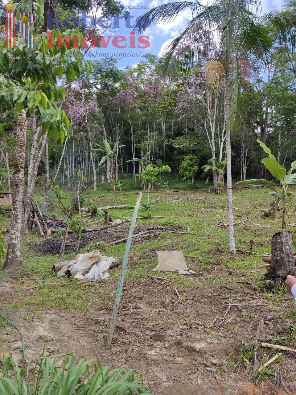 Fazenda à venda com 4 quartos, 1000m² - Foto 5