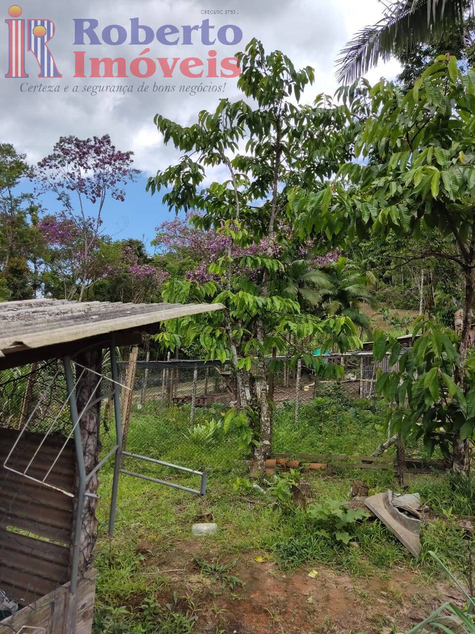 Fazenda à venda com 4 quartos, 1000m² - Foto 12