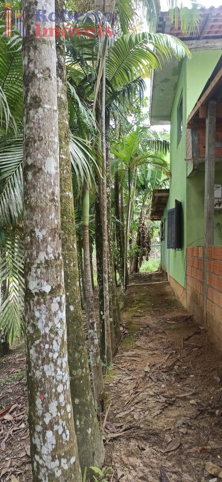 Fazenda à venda com 4 quartos, 1000m² - Foto 18