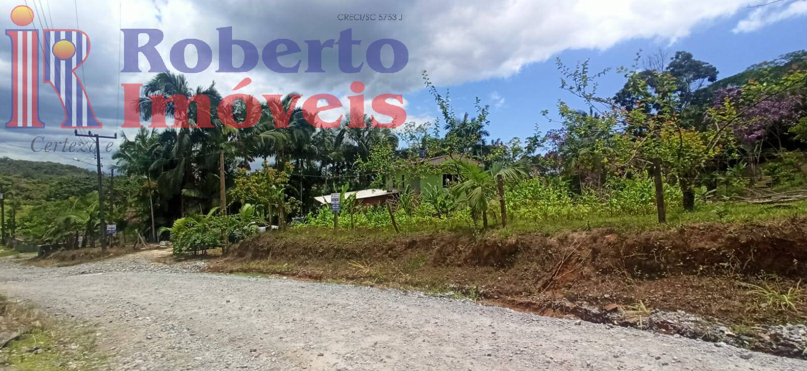 Fazenda à venda com 4 quartos, 1000m² - Foto 30