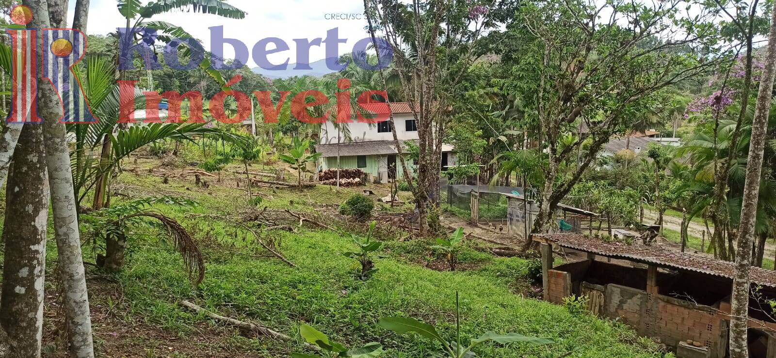 Fazenda à venda com 4 quartos, 1000m² - Foto 25